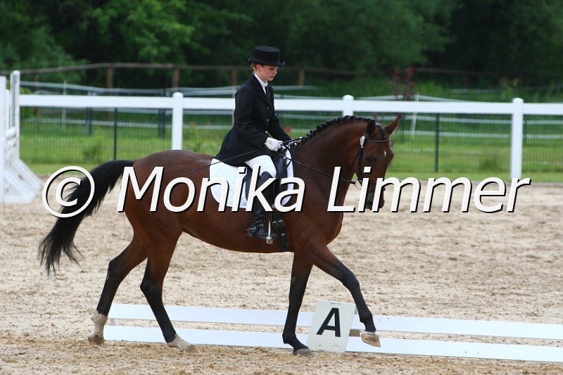 006M3286_Dressur L.JPG